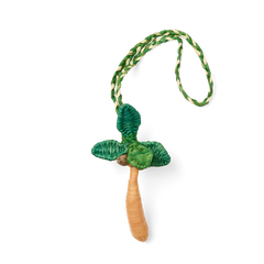 'd & Charmed - Raffia Palm P8